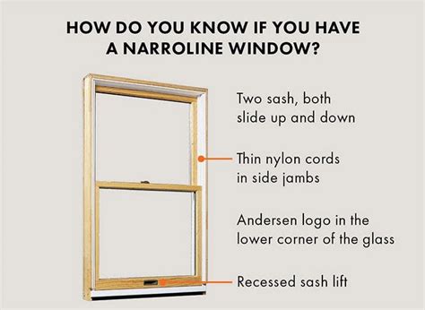 andersen window replacement sash|Replacing the Sash on Narroline Windows 